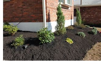 Residential Landscaping - Louisville, KY